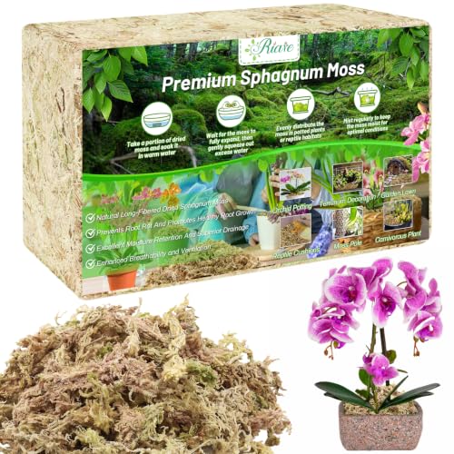Riare 2.2LB Premium Sphagnum Moss for Plants- Natural Long Fiber Plant Moss | High Expansion, Moisture Retention & Drainage, Dried Orchid Moss for Succulent, Carnivorous, Ferns, Reptiles & Terrariums - size: 40QT/2.2lbs