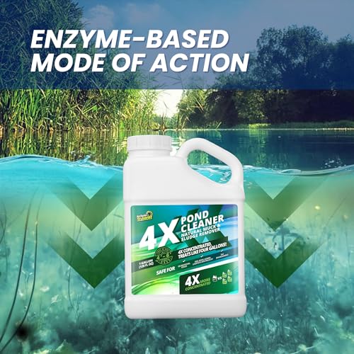 1 Gallon 4X Pond Cleaner - Treats Like 4 Gallons & Covers 4 Acres - Pond Cleaner for Outdoor Ponds, Pond Muck and Sludge Remover for a Clean, Natural Look, Ideal Pond Clarifier for Outdoor Ponds - size: 1 Gallon