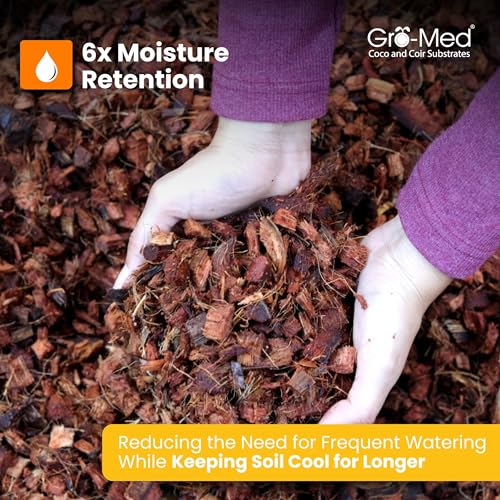 Coco Chips for Plants (500g Bricks, 6-Pack) - Organic Coconut Husk Chips for Potting, Garden & Seed Starter Soil - Coconut Mulch for Garden & Plants - size: 6 Pack Coco Husk Brick (6.6 lb)
