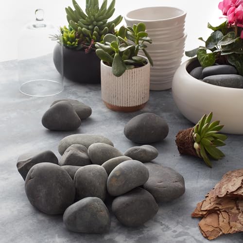 Royal Imports Flat River Rocks for Painting Craft Rocks – Grey Large 5lbs | Vase Filler Aquarium Gravel Smooth Stones for Arts & Crafts Fish Tank Gravel, Terrariums, Home Decor DIY & Crafting Projects - size: Large - 5 lbs