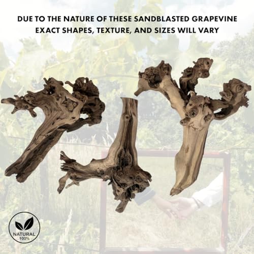 Koyal Wholesale 12" Sandblasted Grapevine Wood for Hamsters, Reptiles Terrarium, Exotic Untreated Grapewood Branch for Decoration Home Wedding DIY - size: 12" Grapevine