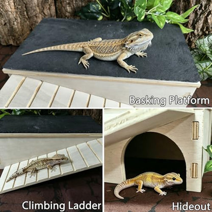 Bearded Dragon Basking Platform Gecko Hide Wood Reptile Hide Cave | Large,12.9"×7.1"×4.7",Detachable,Installation Instructions,with Slate Rock Mat,for Gecko Chameleon Snake Crested Gecko - size: Large