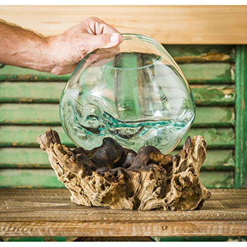 Cape Craftsmen 10" Hand-Blown Blue Tinted Bubble Glass On Natural Teak Driftwood Terrarium Kit | Home Décor Indoor Planter with Stand | Pot for Succulent and Plants - size: Medium (With Stand)