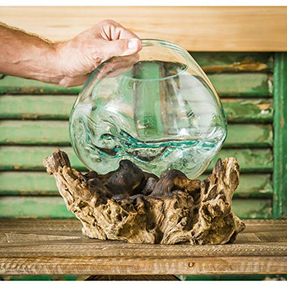 Cape Craftsmen 10" Hand-Blown Blue Tinted Bubble Glass On Natural Teak Driftwood Terrarium Kit | Home Décor Indoor Planter with Stand | Pot for Succulent and Plants - size: Medium (With Stand)