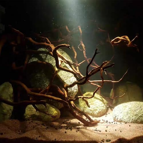 Natural Aquarium Driftwood, [170g] ( 20–40 cm /8–16 in) - Unique Root/Spider Wood Branches for Aquascaping, Planted Tanks & Terrariums, Fish & Plants Decoration, Each Piece One-of-a-Kind (Roots Only) - style: Roots Only