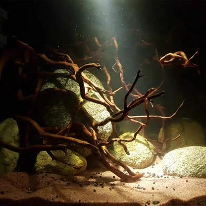 Natural Aquarium Driftwood, [170g] ( 20–40 cm /8–16 in) - Unique Root/Spider Wood Branches for Aquascaping, Planted Tanks & Terrariums, Fish & Plants Decoration, Each Piece One-of-a-Kind (Roots Only) - style: Roots Only