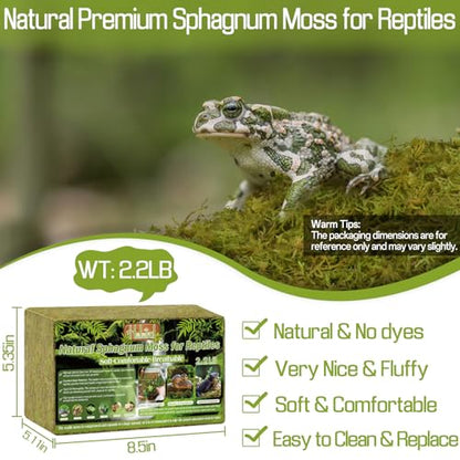 Halatool 2.2 LB Sphagnum Moss for Reptiles - Green Terrarium Moss | Expands to 50 QT, Reptile Bedding for Snakes, Tortoises, Geckos & Lizards, Humidity Retention & Temperature Buffering - size: 2.2LB