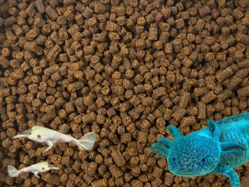 Juvenile Axolotl Soft Food PELLETS 2.4mm,Salamander,Frog,Newts,A282 (4oz) - size: 4 Ounce (Pack of 1)