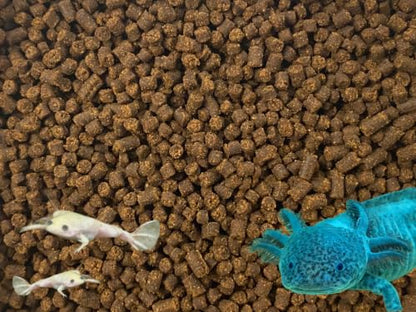 Juvenile Axolotl Soft Food PELLETS 2.4mm,Salamander,Frog,Newts,A282 (4oz) - size: 4 Ounce (Pack of 1)