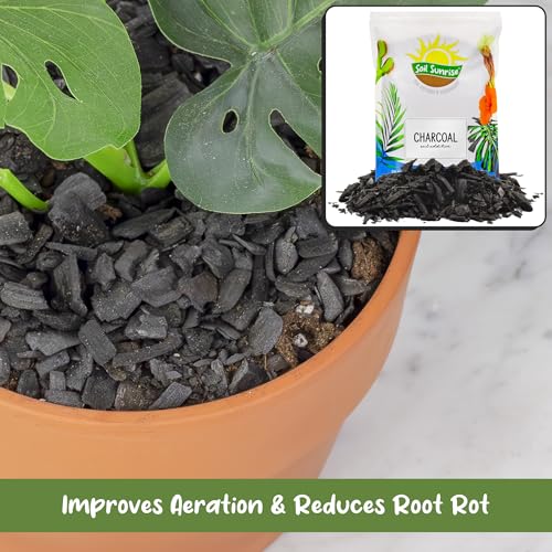 Soil Sunrise Horticultural Charcoal for Indoor Plants (12 Quarts) Hardwood Soil Additive for Orchids, Terrariums, and Gardening - size: 12 Quarts