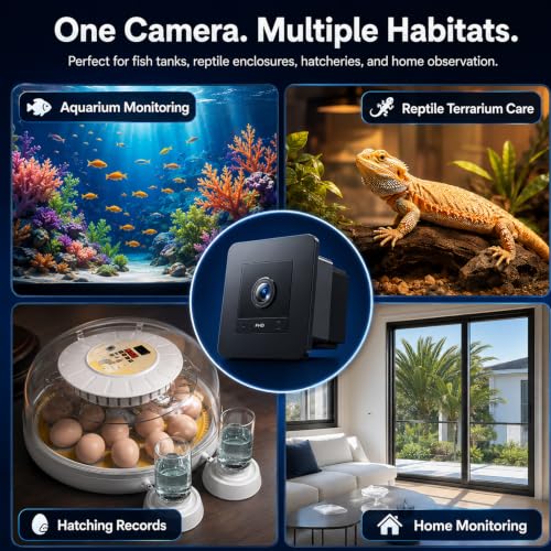 2K HD Aquarium Camera for Fish: Tank & Reptile Terrarium Camera with Battery and 32GB SD Card – Anti-Glare Glass Mount, Night Vision, Two-Way Audio, AI Motion Detection, Aquarium Accessory