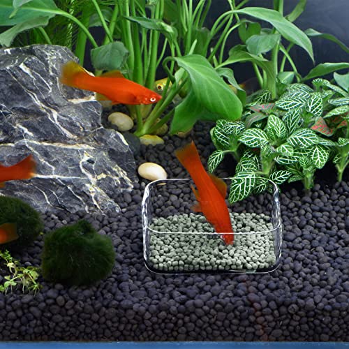 WEAVERBIRD Aquarium Shrimp Feeder Dish Fish Tank Feeding Bowls Glass Square Clear Dish Tray Plate