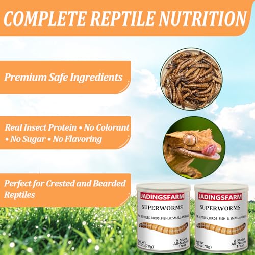 2 Pack Gourmet Canned Superworms for Reptiles & Exotic Pets, Healthy High Protein Pet Treats, Supe Worms for Lizards, Reptiles, Birds, Fish, Hedgehogs etc, 5.5 oz Total