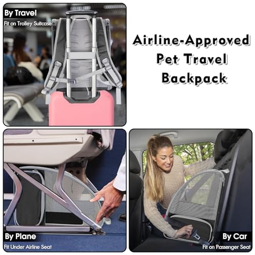 Cat Backpack Carrier, Pet Carrier Backpack with Kitten Wand Feather Toy for Medium Small Dog Cat Puppy Kitty Bunny up to 15lbs, Large Ventilated Mesh Cat Bookbag for Travel Walking Outdoor Use (Black) - color: Black