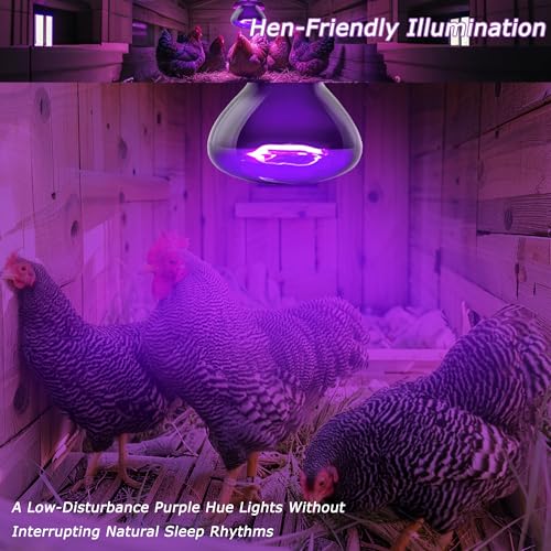 Reptile Moonlight Bulb,60W Soft Purple Night Light for Terrariums