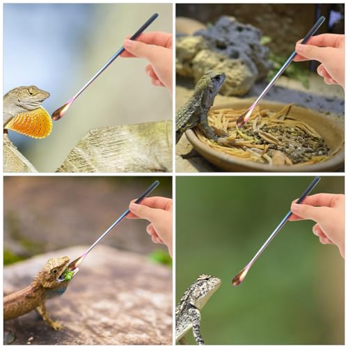 NOLITOY Pet Feeding Spoon Set Small Reptile Food Scoop Lizard Food Spoon Stainless Steel Easy to Lightweight for Tortoise Lizard Pack of 3 - color: As Shown 1