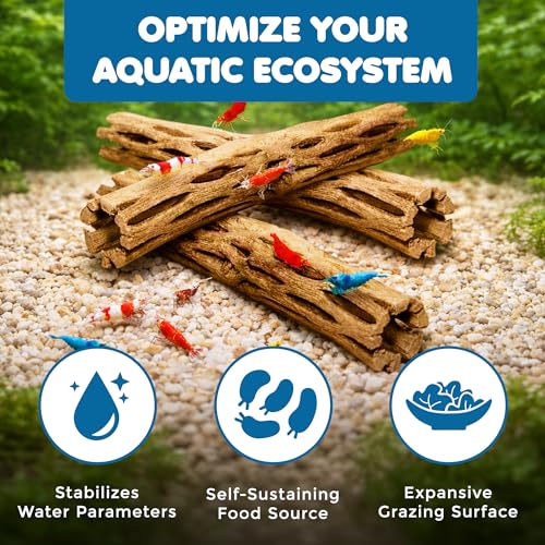 SunGrow Cholla Wood, 6” Climbing Logs, Chew Toy, Aquarium Fish, Snail, and Shrimp Driftwood, Tropical Freshwater Fish Décor, Adds Raw Beauty, 3 Pack