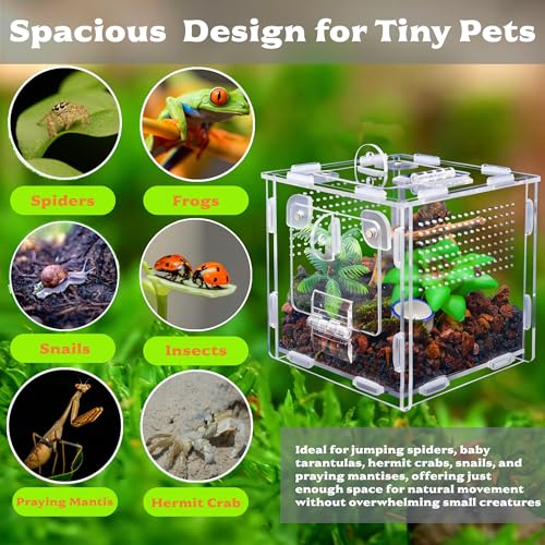 Jumping Spider Enclosure, Small Reptile Terrarium for Tarantula Hermit Crab Praying Mantis, Acrylic Insect Habitat with Magnetic Front & Top Opening (4.52" x 4.52" x 4.52") - size: Small Szie