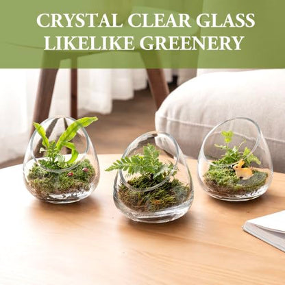 MyGift 5 Inch Premium Clear Glass Air Plant Terrarium, Tealight Candle Holder, Succulent Cactus Plant Vase, Set of 4 - size: Set of 4 (Slanted)