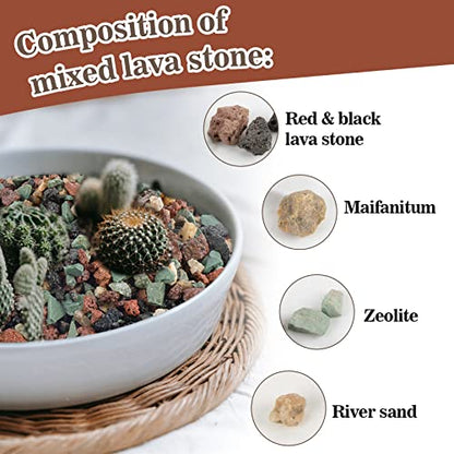 Sukh Mix Horticultural Lava Pebbles - Cactus Potting Soil Amendment 1LB | Horticultural Rocks, Succulent Cactus Bonsai Soil Rocks for Terrarium Plants, Decorative Gravel Plant Drainage Rock, 1LB