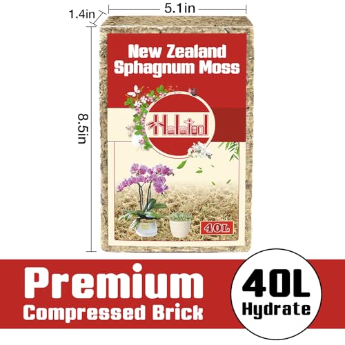 Halatool Premium New Zealand Sphagnum Moss, 500g (40L When Hydrated) | Long Fiber, Retain Moisture, Moss for Orchid Repotting, Succulents, Sarracenia, Potted Plants, Gardening & Reptiles - size: 40L