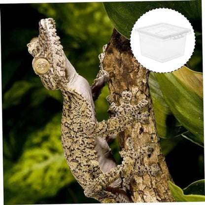 FOMIYES 12pcs Reptile Feeding Box Breeding Storage Nest for Snakes Lizards Frogs Environment