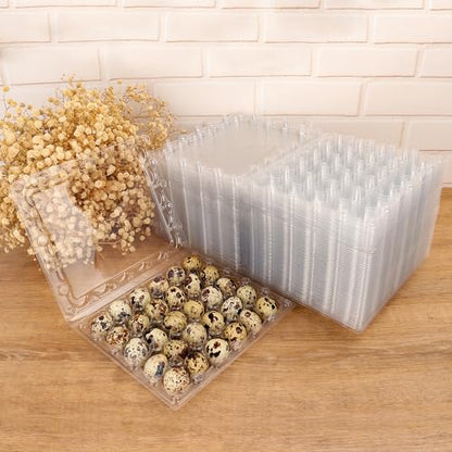 100 Pack Quail Egg Cartons, Clear Plastic Quail Egg Trays, Holds up to 30 Quail Eggs Securely - Your Ultimate Small Eggs Carton Holders for Bulk Storage and Display by KUKLIPJIM - size: 100 Pack Quail Egg Cartons 30 Grids