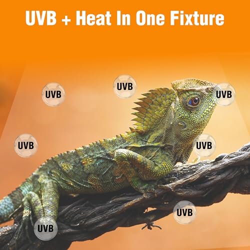 T5HO Single 12” UVB Reptile Light Fixture 15w, Bearded Dragon and Reptile Terrarium Light Fixture
