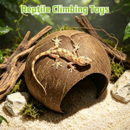 PINVNBY Large Natural Coconut Reptile Hideouts Lizard, Coco Hut Hermit Crab Hut Aquarium Fish Hide Cave for Small Reptile Crested Gecko Leopard Gecko Spider Snail Climber Toys - size: Extra Large Size, 1 PCS