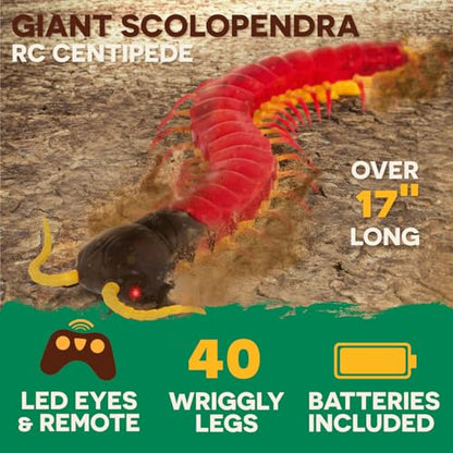 Terra by Battat — RC Centipede Giant Scolopendra Toy with LED Eyes | Remote Control Centipede with 18 Body Segments, Fast Moving Legs and S Shape Wriggle; Electronic Animal Toy for Kids 6+ Years - style: Scolopendra