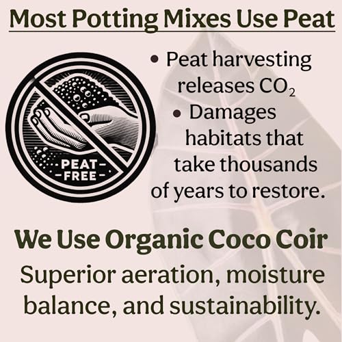 Craft Organic Houseplant Potting Mix, Elite House Plant Soil, Chunky, Well Draining Potting Soil for All Indoor Plants, Tropical Plants & Flowers, Sustainable & Peat Free, Less Prone to Gnats, 12QT - size: 12 quarts