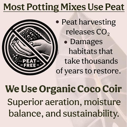 Craft Organic Houseplant Potting Mix, Elite House Plant Soil, Chunky, Well Draining Potting Soil for All Indoor Plants, Tropical Plants & Flowers, Sustainable & Peat Free, Less Prone to Gnats, 12QT - size: 12 quarts