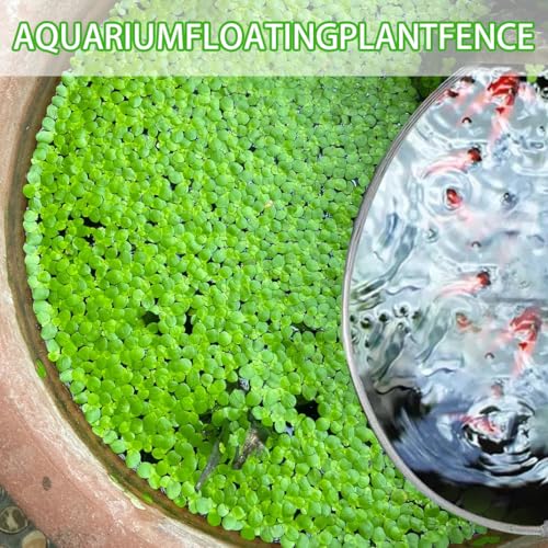 Aquarium Floating Plant Corral, Fish Feeding Ring Can Adjust Height with Water, Aquarium Floating Plant Barrier Suitable for Most Aquariums and Floating Plants