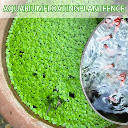 Aquarium Floating Plant Corral, Fish Feeding Ring Can Adjust Height with Water, Aquarium Floating Plant Barrier Suitable for Most Aquariums and Floating Plants