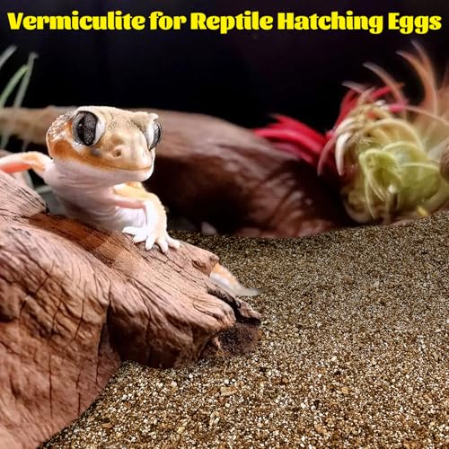 Hamiledyi Vermiculite for Incubating Reptile Eggs Terrarium Bedding Snake Habitat Substrate Reptile Bedding for Tortoise, Gecko, Ball Python, Salamander, Snake, Horned Frog(1Pack,0.52gal)