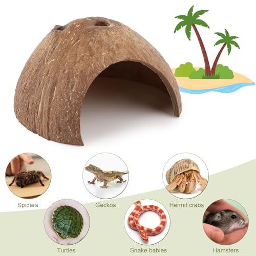 Hypeety Natural Coconut Reptile Habitat Hideout Hermit Crab Hut for Tank | Natural coconut shell, sturdy fish hide cave, organic non-toxic aquarium decoration, for reptile/lizard/spider/hamster/snake
