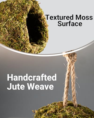Handmade Crested Gecko Tank Accessories – Bearded Dragon Accessories, Reptile Hideout, Hermit Crab and Small Reptile Habitat 4.7×3.5×9in