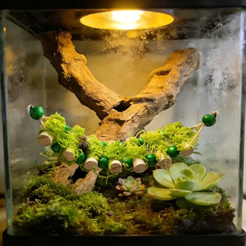 Jumping Spider Rope Bridge Jumping Spider Hides Enclosure Accessories | A Solid Wood Climbing Suspension Bridge, a Spider Jump Platform, Used As a Decorative Accessory for Small Reptile Enclosures