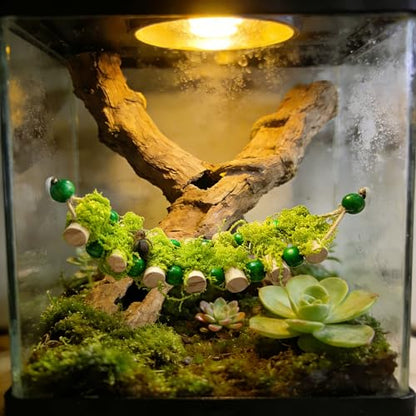 Jumping Spider Rope Bridge Jumping Spider Hides Enclosure Accessories | A Solid Wood Climbing Suspension Bridge, a Spider Jump Platform, Used As a Decorative Accessory for Small Reptile Enclosures