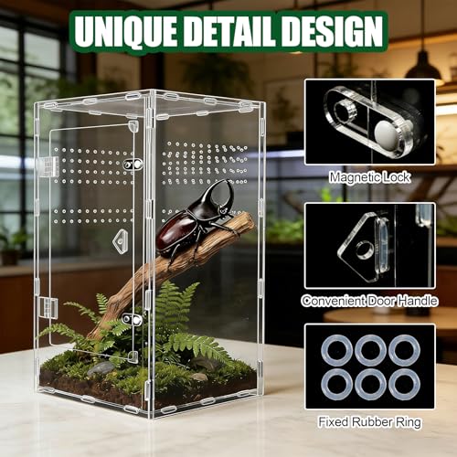 Acrylic Jumping Spider Enclosure, Transparent Reptile Terrarium Enclosure, Small Reptiles Habitat Tank Breeding Box for Tarantula Insect Snake Lizard (13.78 Large) - color: 7.87×7.87×13.78