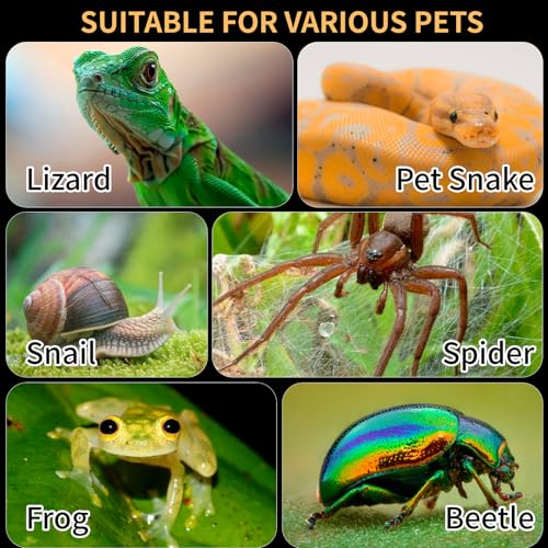 Acrylic Reptile Terrarium Easy Assembly, 360° Clear & Keep Pet Secure Design for Jumping Spiders, Tarantulas, Geckos Scratch-Resistant Large Ventilated Habitat Terrarium for Arachnids 11.8*7.9*7.9in - size: Large-11.8*7.9*7.9in