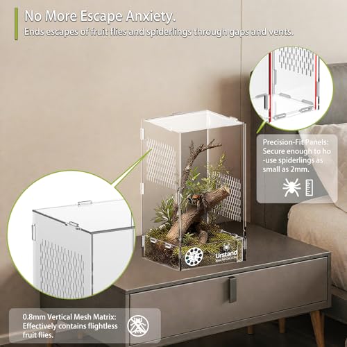 Jumping Spider Enclosure, Acrylic Spider Terrarium with Magnetic Door, Side-Opening, Laser-Cut Biomimetic Ventilation System, Escape-Proof for Feeder Insects (6.5"x6.5"x12") - size: 6.5"x6.5"x12" - Side-opening