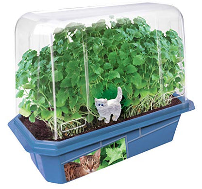 Toys by Nature Miniature Worlds Organic Catnip Windowsill Terrarium Starter Kit, Complete Supplies and Easy-to-Grow Indoor Plants Linen Sachet and Seeds Included! (Crazy Cat Plant) - style: Crazy Cat Plant