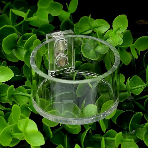 2 Pack Jumping Spider Feeding Dish, Acrylic Tarantula Water Dish Food Bowl | Jumping Spider Food Water Dish, Strong Double Magnets, Jumping Spider Enclosure Accessories for Insect,Reptile,Mantis,Bug