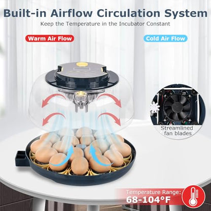 Incubators for Hatching Eggs, 18 Eggs Incubator with Egg Candler, Auto Egg Turner, Temp & Humidity Control, Hatch Day, Auto Water Refill, 2 Size Egg Tray, 360° Viewing for Chicken, Duck, Quail - size: 18 Eggs