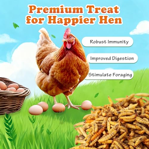 5.5 LBS Dried Black Soldier Fly Larva/Dried Mealworms - 100% Natural BSF Larvae - 85XMore Calcium Than Mealworms - High Calcium Treats for Chickens, Birds, Reptiles, Hedgehog, Geckos, Turtles- 5.5 LBS - size: 5.5 Pound (Pack of 1)