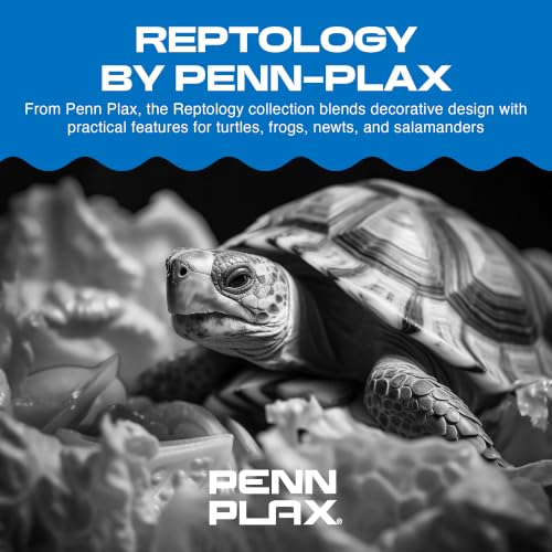 Penn-Plax Reptology Aquatic Turtle Pier and Basking Platform | Floating Above Tank | Decorative, Functional, and Naturally Inspired for Aquariums and Terrariums | Large Size (REP603) - style: Turtle Pier - Large
