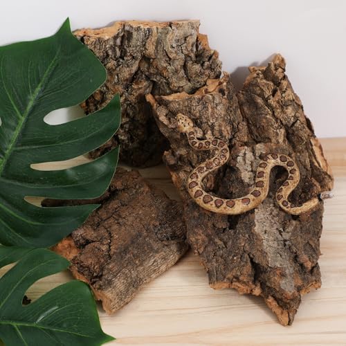 Baluue 4 Pack Reptile Cork Bark, Natural Reptile Bark Bedding for Terrarium Substrate Tank Supplies Decor for Gecko, Lizard, Tortoise, Frog, Spiders, Hermit Crabs