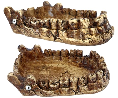 Food/Water Dish for Reptiles, Amphibians and Other Little Critters Water/Food Bowl, Made from Premium Resinl, Reptile Feeding Bowls for Bearded Dragon Lizard,Hermit Crab,Gecko,Tortoise - color: Dark Brown