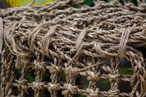 Penn-Plax Reptology Lizard Lounger Corner Triangle with Ladder– 100% Natural Seagrass Fiber – Great for Bearded Dragons, Anoles, Geckos, and Other Reptiles – Large - size: Large